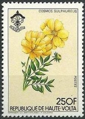 Stamp, Cosmos sulphureus, Upper Volta,  , Flowers