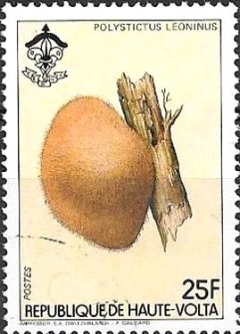 Stamp, Polystictus leoninus, Upper Volta,  , Mushrooms