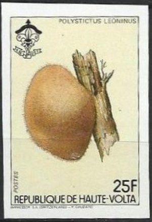 Stamp, Polystictus leoninus, Upper Volta,  , Mushrooms