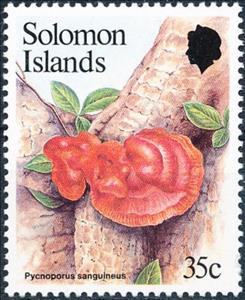 Stamp, Pycnoporus sanguinius, Solomon Islands,  , Mushrooms