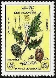 Datura