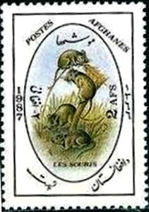 Mice