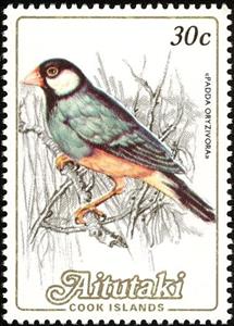 Stamp, Java Sparrow (Padda oryzivora), Aitutaki,  , Birds