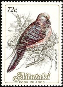 Stamp, Zebra Dove (Geopelia striata), Aitutaki,  , Birds