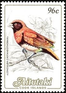 Stamp, Chestnut-breasted Mannikin (Lonchura castaneothorax), Aitutaki,  , Birds