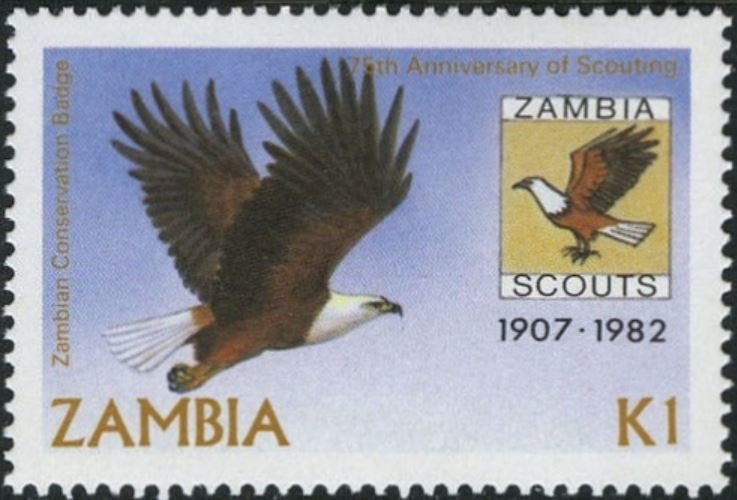 African Fish-Eagle (Haliaeetus vocifer)