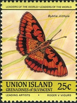 Spotted Joker (Byblia ilithyia)