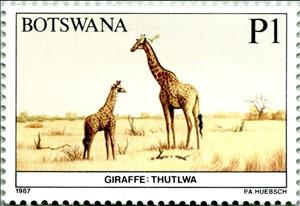 Stamp, Giraffe, Botswana,  , Giraffes