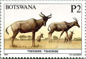 Stamp, Tsessebe, Botswana,  