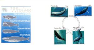Whale Species