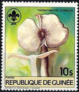Stamp, Thermitomyces globulus, Guinea, Social Democratic Republic,  , Scouting, Mushrooms