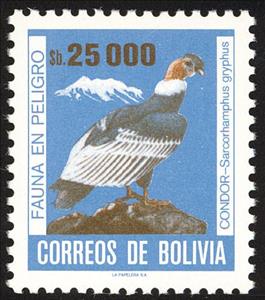 Stamp, Condor (Vultur gryphus), Bolivia,  , Birds, Birds of Prey, Animals (Fauna), Vultures