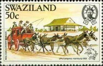Mule-drawn coach