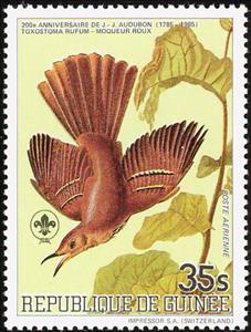 Stamp, Brown Trasher (Toxostoma rufum), Guinea, Social Democratic Republic,  