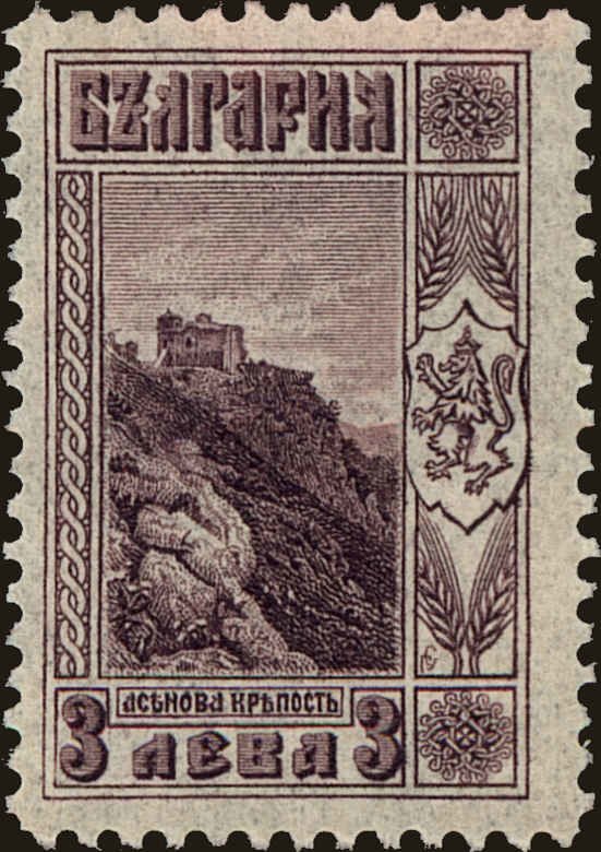 Ruins of castle