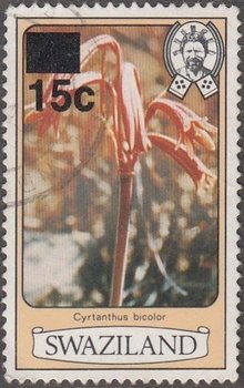 Stamp, Cyrtanthus bicolor, Swaziland,  