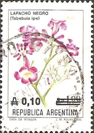 Lapacho negro
