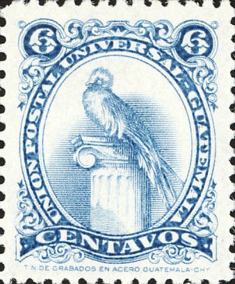 Quetzal (Pharomachrus mocinno)