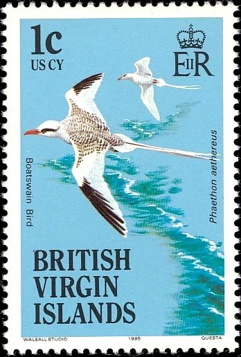 Red-billed Tropicbird (Phaethon aethereus)