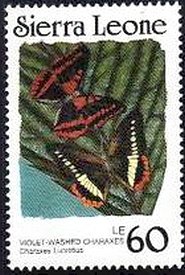 Violet-washed Charaxes (Charaxes lucretius)