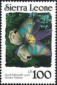 Blue Judy (Abisara talantus)