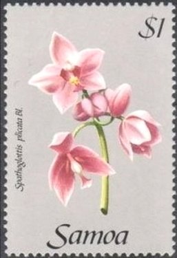 Spathoglottis plicata