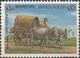 Transport- Bullock cart