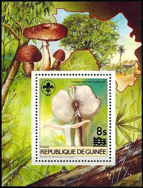 Thermitomyces globulus