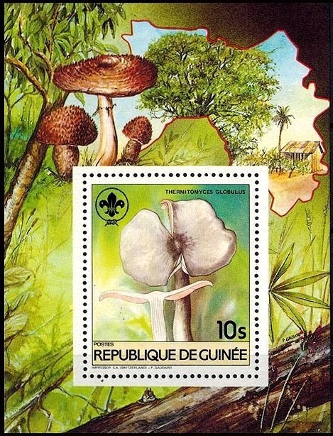 Thermitomyces globulus