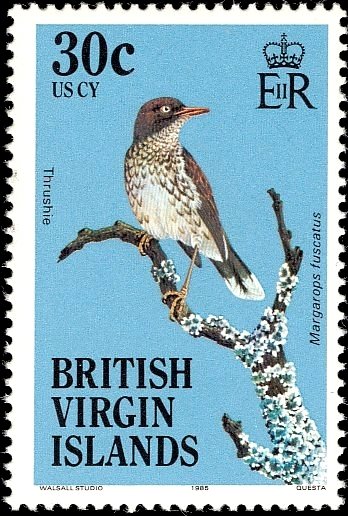 Pearly-eyed Thrasher (Margarops fuscatus)