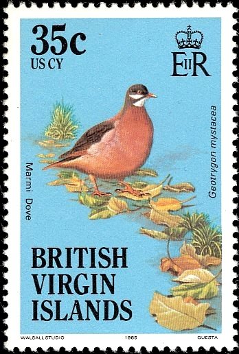 Bridled Quail-dove (Geotrygon mystacea)