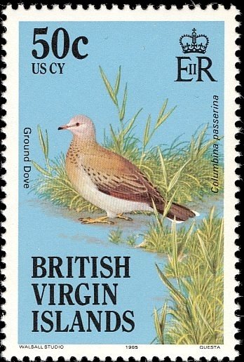 Common Ground Dove (Columbina passerina)