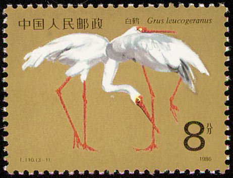 Great White Crane