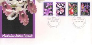 Orchid Varieties