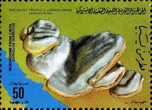 Stamp, Coriolus hirsutus, Libya,  , Mushrooms