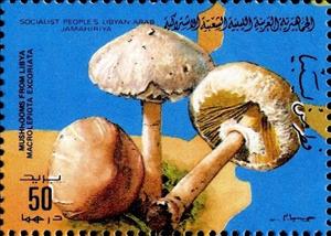 Stamp, Macrolepiota excoriata, Libya,  , Mushrooms