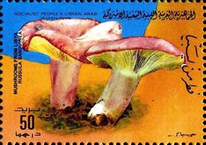 Stamp, Russula sanguinea, Libya,  , Mushrooms