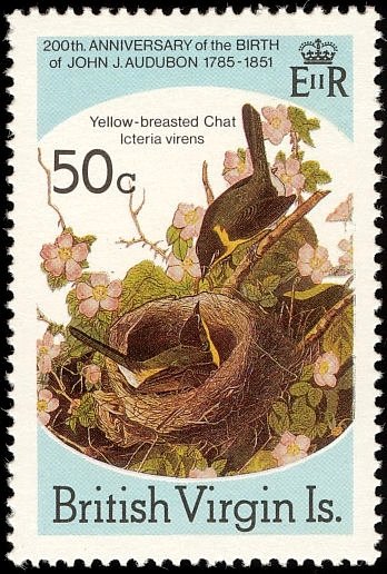 Yellow-breasted Chat (Icteria virens) 