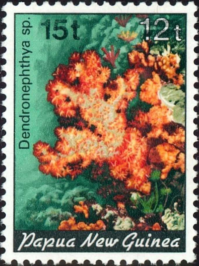 Carnation Tree Coral (Dendronephthya sp.) - Overprinted