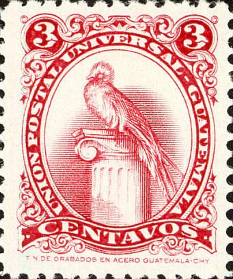 Quetzal (Pharomachrus mocinno)
