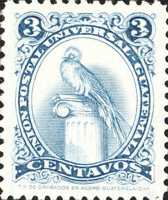 Quetzal (Pharomachrus mocinno)