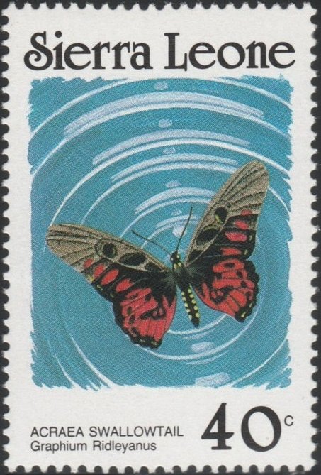 Acraea Swordtail (Graphium ridleyanus)