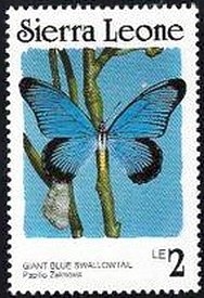 Stamp, Giant Blue Swallowtail (Papilio zalmoxis), Sierra Leone,  , Insects, Butterflies, Animals (Fauna)