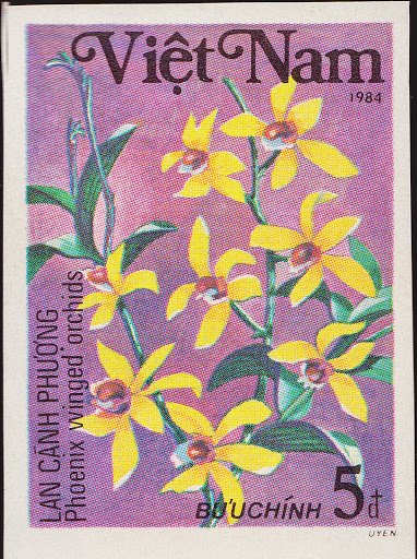 Phoenix winged orchids