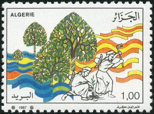 Planting