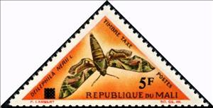 Stamp, Oleander Hawk-moth (Deilephila nerii), Mali,  , Insects, Butterflies