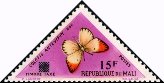 Red Tip (Colotis antevippe)