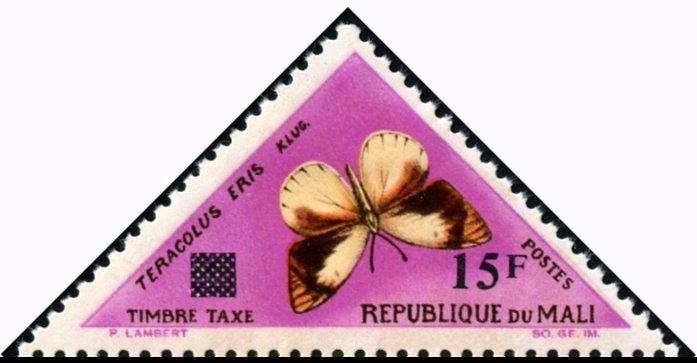 Banded Gold Tip (Teracolus eris)