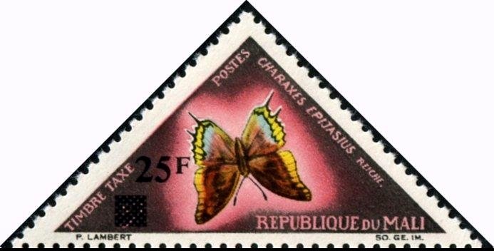 Two-tailed Pasha (Charaxes epijasius)