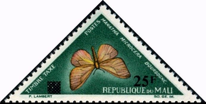 Moth (Manatha microcera)